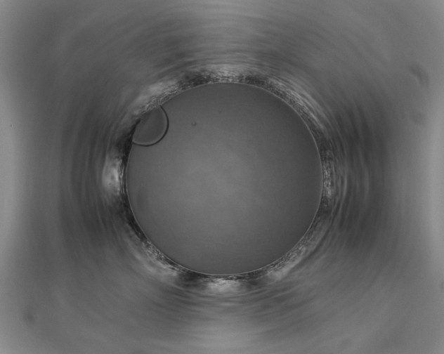 X0000112770718200908271641