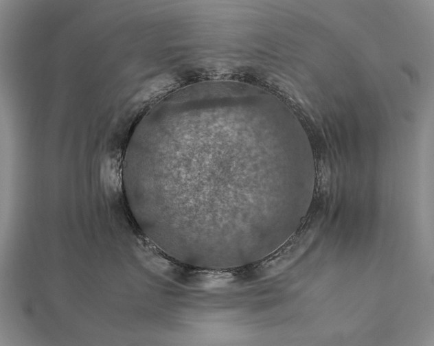 X0000112770719200908271641