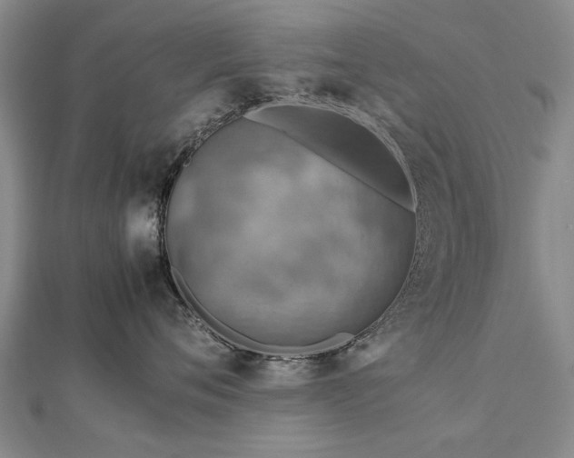 X0000112770720200908271641