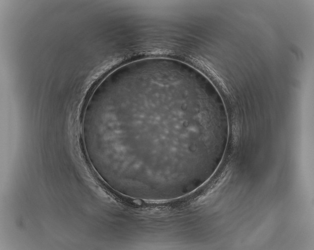 X0000112770721200908271640