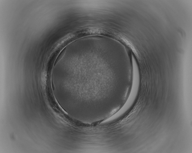 X0000112770722200908271640