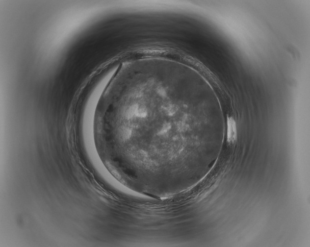 X0000112770723200908271641