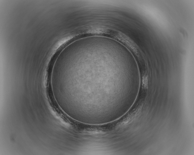 X0000112770724200908271641