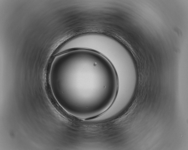 X0000112770725200908271641