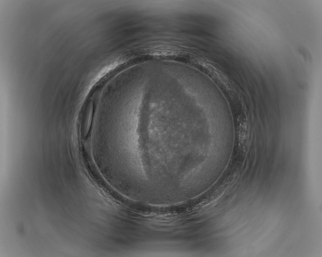 X0000112770727200908271641