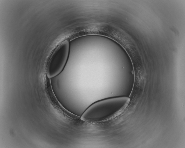 X0000112770728200908271641