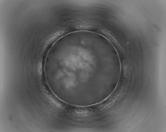 X0000112770729200908271641