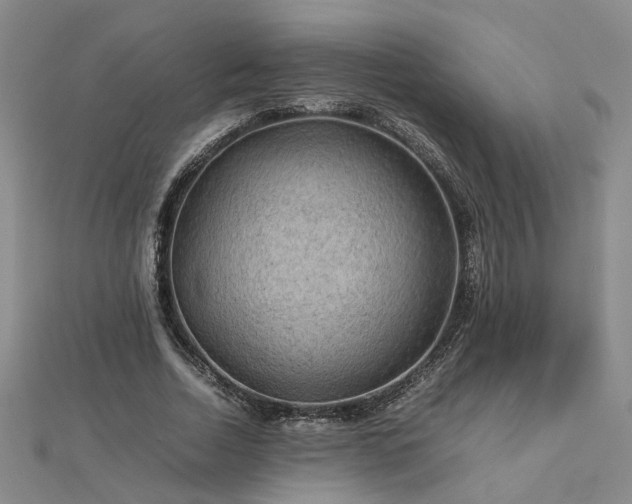 X0000112770730200908271641