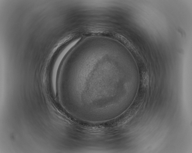 X0000112770731200908271641