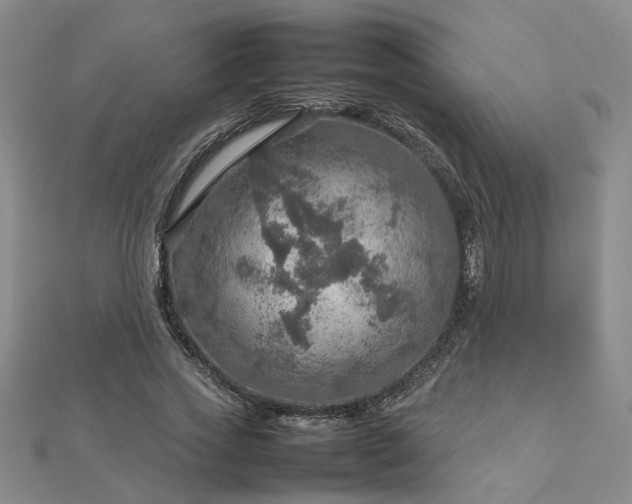 X0000112770733200908271641