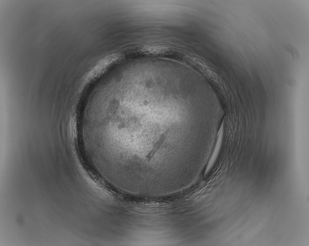 X0000112770734200908271641