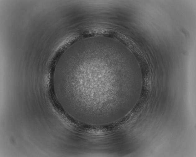 X0000112770735200908271641