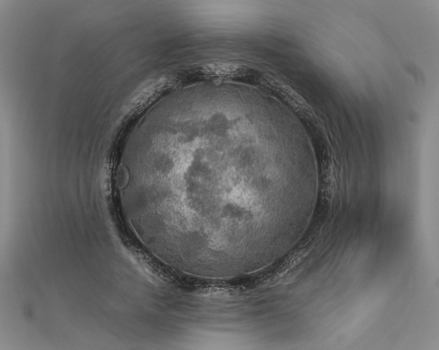 X0000112770738200908271641