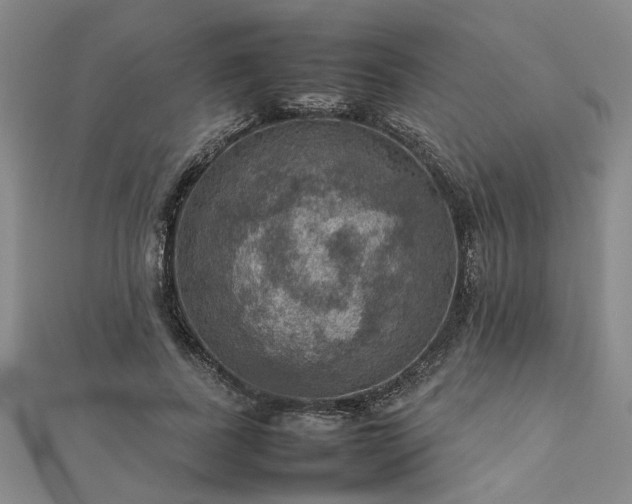 X0000112770739200908271641
