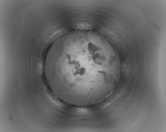 X0000112770741200908271641