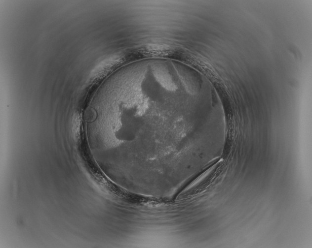 X0000112770742200908271641