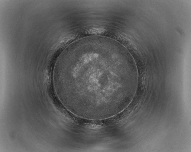 X0000112770743200908271641