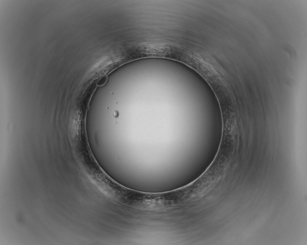 X0000112770744200908271641