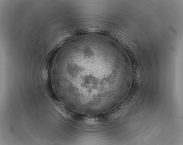 X0000112770746200908271641