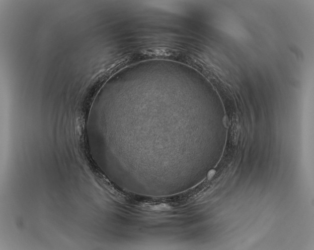 X0000112770747200908271641