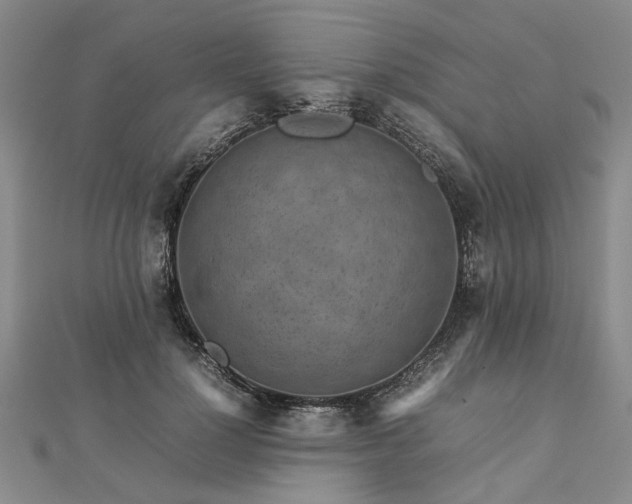 X0000112770748200908271641