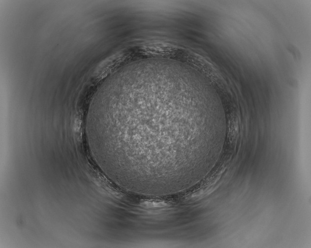 X0000112770749200908271641