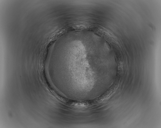 X0000112770751200908271641