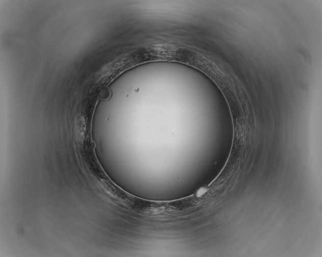 X0000112770752200908271641