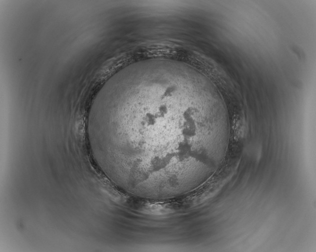 X0000112770753200908271641