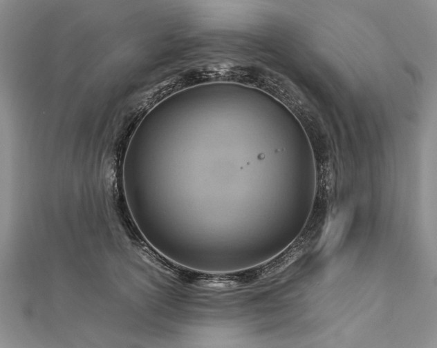 X0000112770754200908271641