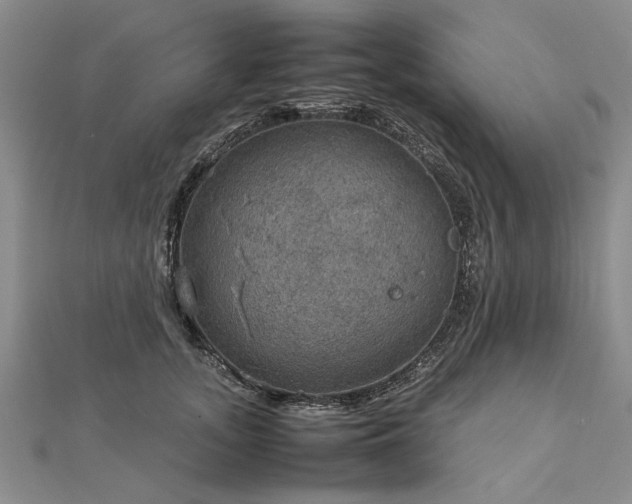 X0000112770755200908271641