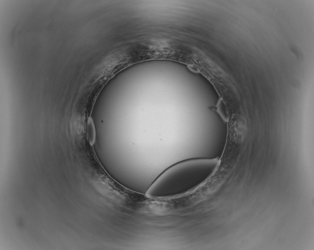 X0000112770756200908271641