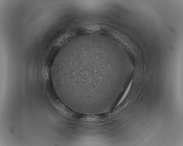 X0000112770758200908271641