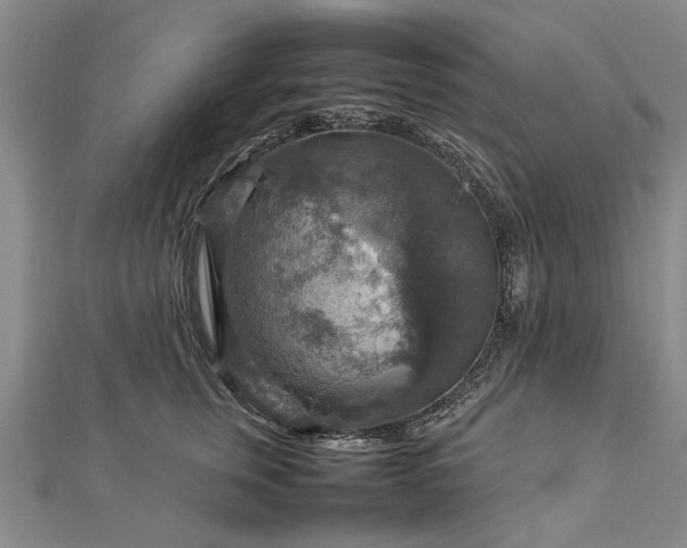 X0000112770759200908271641