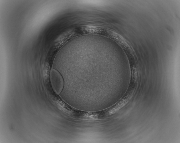X0000112770760200908271641