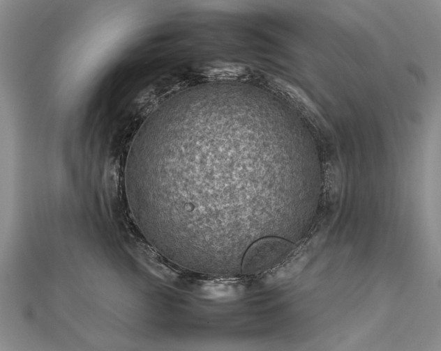 X0000112770761200908271641