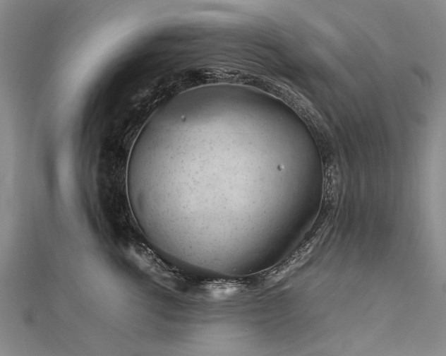 X0000112770762200908271641
