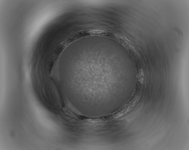 X0000112770763200908271641