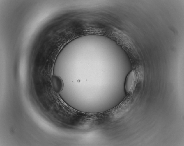 X0000112770764200908271641