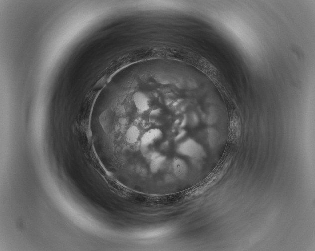 X0000112770765200908271641