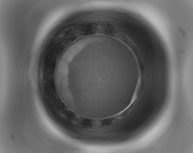 X0000112770766200908271641