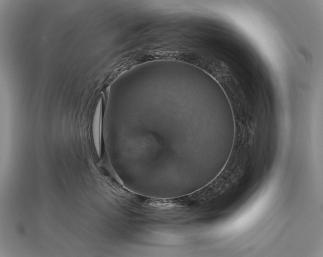 X0000112770767200908271641