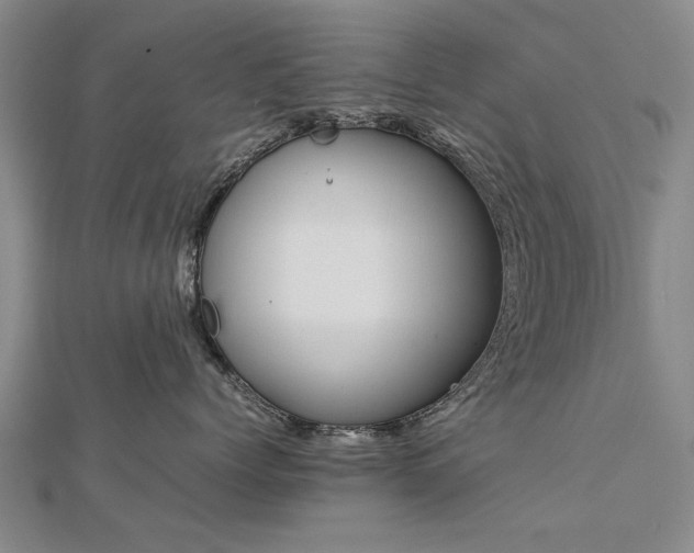 X0000112770768200908271641