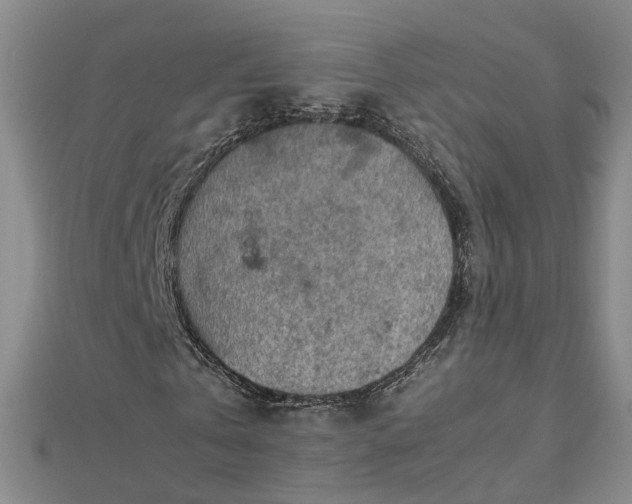 X0000112770769200908271640