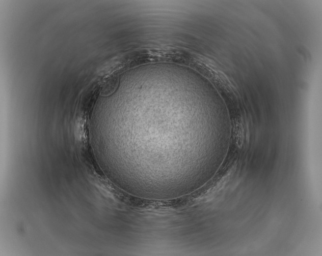 X0000112770770200908271640