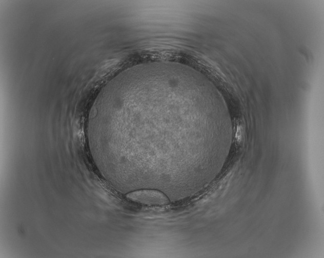 X0000112770771200908271640
