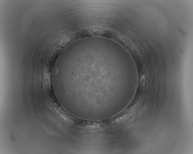 X0000112770772200908271640
