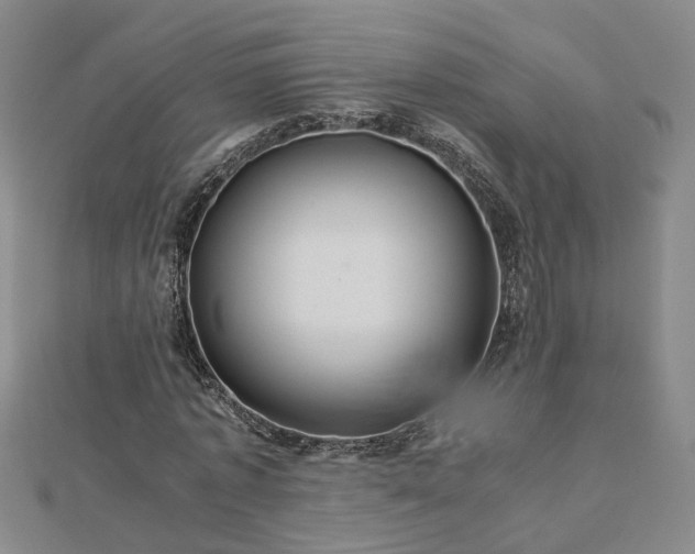 X0000112770773200908271640