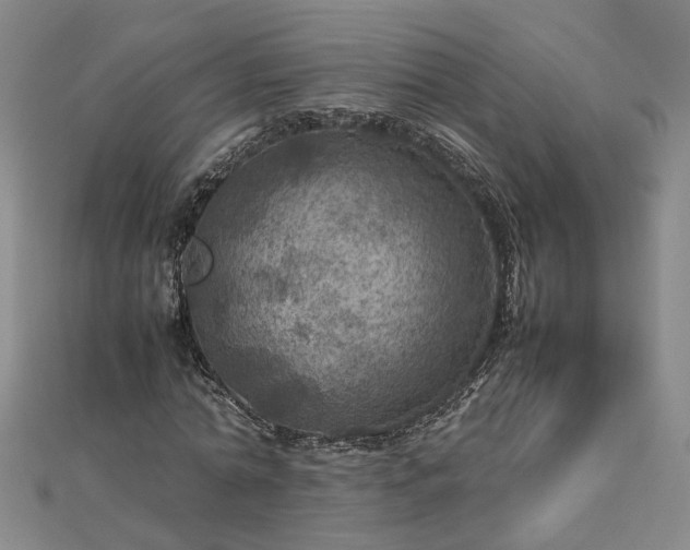 X0000112770774200908271640
