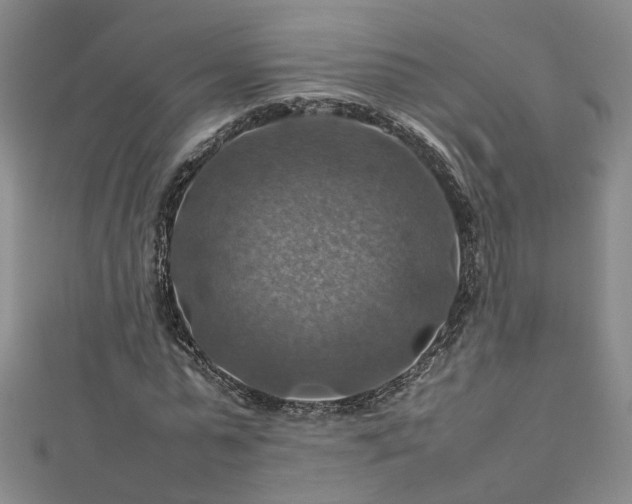 X0000112770775200908271640